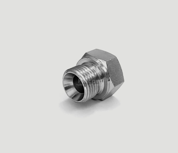 BSP MALE PLUG